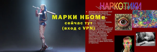 сатива Алзамай