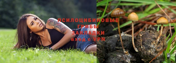 соль ск Алексеевка