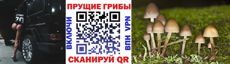 Галлюциногенные грибы ЛСД Сураж