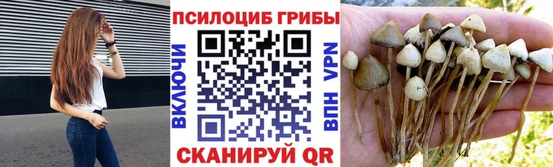Галлюциногенные грибы GOLDEN TEACHER  купить наркоту  Сураж 